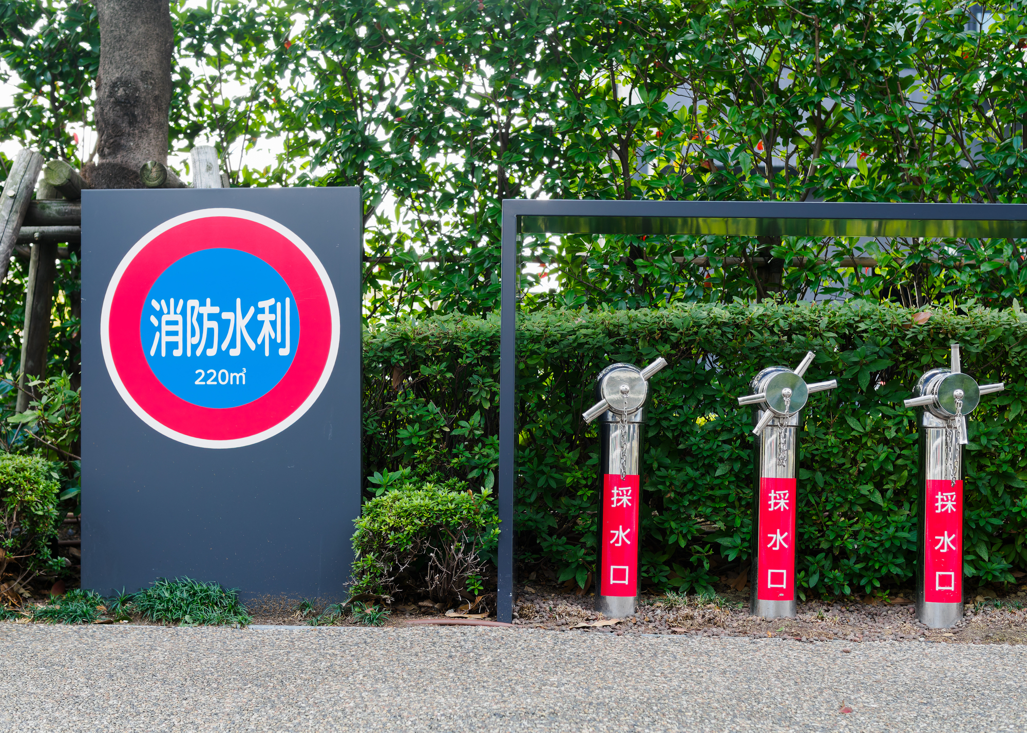 pixta_134040551_M